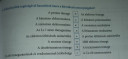 Kérhetnék segítséget a 7.-es és a 9.-es feladatban? – megoldás kép 1