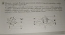 Valaki tudna segíteni? – megoldás kép 1