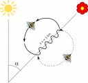 Méhek élete – megoldás kép 1