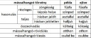 Magyar nyelvtan – megoldás kép 1