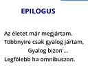 Irodalom 11.osztály  – megoldás kép 3