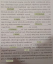 A nagy földrajzi felfedezések – megoldás kép 1