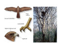 Biologia – megoldás kép 6
