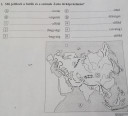 Segítséget kérnék a megoldásban – megoldás kép 1