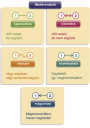 Kérlek segítsetek! Nyelvtan – megoldás kép 1