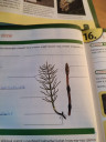 S.o.s. – feladat kép 1
