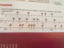 Sziasztok,Tudnátok segíteni? Előre is Köszönöm – feladat kép 1