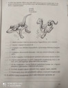 Sürgős biosz (az állatok mozgása)  – feladat kép 1
