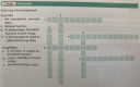 Ivarszervek keresztrejtvény – feladat kép 1