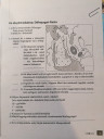 SOS!  – feladat kép 1
