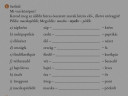 Öszett szavak – feladat kép 1