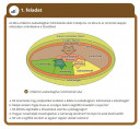 TÖRTÉNELEM SOS – feladat kép 1
