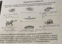 Biológia 9.o – feladat kép 1