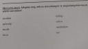 Nyelvtan  – feladat kép 1