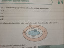 Matematika 8. Osztályos  – feladat kép 1