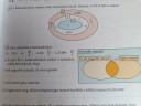 Racionális számok halmaza 8.o. – feladat kép 1