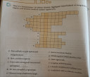 Fizika 8. Osztályos  – feladat kép 1