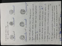 SOS 8. Oszt sejtek – feladat kép 1