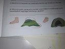 SOS!  Nyelvtan házi!! 8. Osztály – feladat kép 2