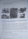Történelem SOS – feladat kép 2