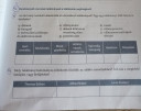 Történelem mf 7 osztály – feladat kép 1