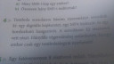 SŰRGŐS – feladat kép 1