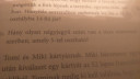 SŰRGŐS – feladat kép 1
