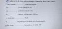 Német feladat dieser/diese/dieses – feladat kép 1