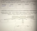 Csatolom a képet! !SOS! – feladat kép 1