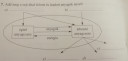 Biológia 8.osztály – feladat kép 1