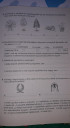 Biologoia nagyon sürgős – feladat kép 2