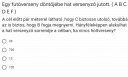 Futóverseny  – feladat kép 1