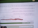 Biologia – feladat kép 1