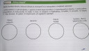 BIOLÓGIA MUNKAFÜZET MEGOLDÁSA!! SOS..  – feladat kép 1