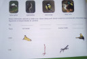 Biologia – feladat kép 1