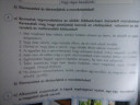 8.-os nyelvtan? – feladat kép 2