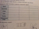 Biológia házi feladat-vérzések  – feladat kép 2