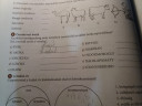 Afrika mezőgazdasági termékei – feladat kép 1