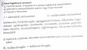 SEGÍTSÉG NYELVTAN MUNKAFÜZET.SOS!!!!  – feladat kép 1