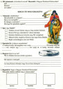 Olvasónapló – feladat kép 1