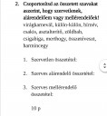 SEGÍTSÉG NYELVTAN TÉMAZÁRÓ .SOS!!!!  – feladat kép 3