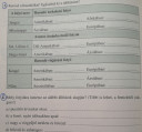 Föci, év végi ismétlés – feladat kép 1