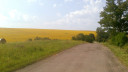 Föci házi – feladat kép 1