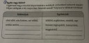 SOS Nyelvtan 6.o. – feladat kép 1