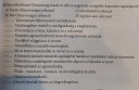 FÖLDRAJZ HÁZI – feladat kép 2