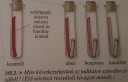 Biológia kísérletelemzés – feladat kép 1