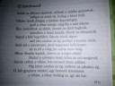 Új leoninusok 7 – feladat kép 2