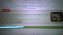 Melyik ez a faj? – feladat kép 1
