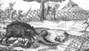 Zrinyi  – feladat kép 1