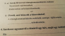 Nyelvtan  – feladat kép 1